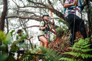 BIB: 
                            <button type="button" onclick="openModal(26299056)" class="btn btn-primary btn-sm float-right btn-popup" data-toggle="modal" data-target=".modal-high-quality">
                        <i class="fas fa-shopping-cart"></i> Add to Cart
                    </button>
                                            <button type="button" onclick="isThisMe(26299056, true)" class="btn btn-success btn-sm float-right btn-popup btn-isme hidden" data-toggle="tooltip" data-placement="bottom" title="นี่คือรูปของคุณใช่ไหม คลิกที่นี่เพื่อเอาเข้าอัลบั้ม">
                        <i class="fas fa-plus"></i> Add to album
                    </button>
                    <button type="button" onclick="isThisMe(26299056, false)" class="btn btn-warning btn-sm float-right btn-popup btn-isnotme hidden">
                        <i class="fas fa-ban"></i> Remove from album
                    </button>